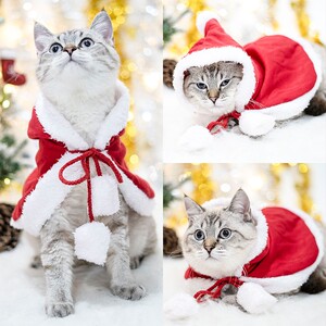 猫咪圣诞衣服新年小红帽斗篷披风宠物幼猫英短布偶狗狗喜庆秋冬