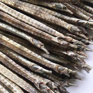 海龙海马干药材