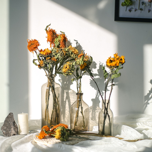 向日葵重瓣干花真花ins房间布置网红店装饰画卧室梵高小干花摆件