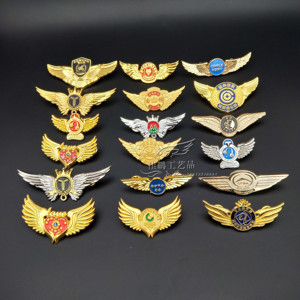 翅膀皇冠徽章定做金属胸章定制胸针奖章勋章校徽班徽制作微章胸牌