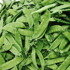 豌豆蔬菜新鲜包邮