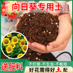 向日葵专用土育苗专用营养土花卉多元土腐叶土阳台基质蛭石培养土