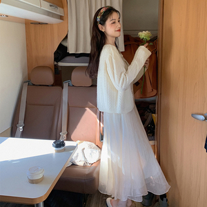 白色网纱半身裙女法式高级感气质纱裙长裙高腰长款a字仙女裙秋冬
