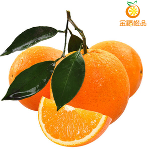 00哈哈哈哈巧淘宝三峡秭归 纽荷尔脐橙长红应季新鲜水果橙子果园