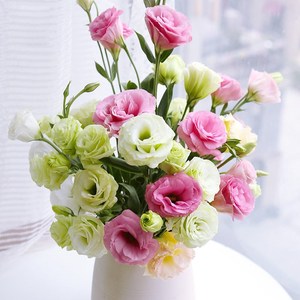 云南基地直发洋桔梗鲜花花束真花家用水养插花同城速递鲜切花