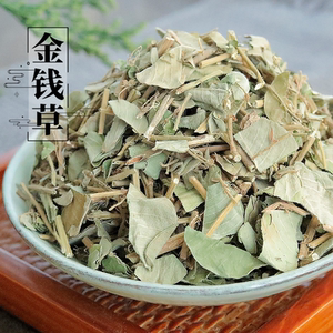 大叶金钱草新鲜