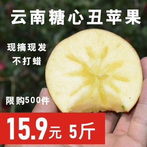云南农家野生丑苹果小苹果带皮吃水果新鲜冰糖心红富士五斤包邮