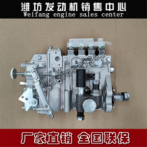 潍柴道依茨WP4CD100E200柴油发动机13060611喷油泵总成高压油泵