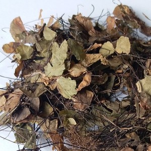 中药材 过坛龙 500克 别名 铁笊篱 黑骨芒 秧居草 铁皂里