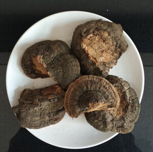 【扁木灵芝】扁木灵芝品牌,价格 - 阿里巴巴