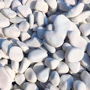 白色石头石子园林绿化造景石头鹅卵石庭院铺路铺地枯山水小白石头