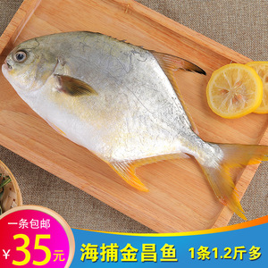 新鲜鲳鱼 深海野生 海鲜水产鲜活片片鱼大海鱼金鲳鱼平鱼