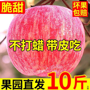 陕西洛川红富士苹果新鲜应当季孕妇水果脆甜冰糖心丑萍果平果整箱