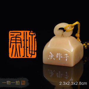 子非鱼 徐俊豪作品 篆刻成品章书画印章书法礼品古风闲章xjh744