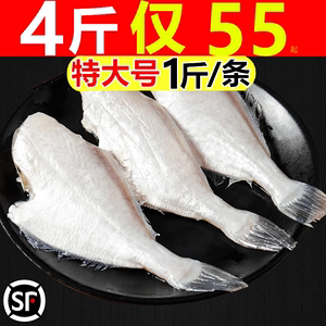 耗儿鱼中号扒皮鱼鲜活冷冻剥皮鱼马面鱼新鲜橡皮鱼商用海鲜水产