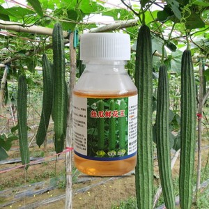 丝瓜鲜花王专用点蘸花药瓜顶鲜花瓜条拉直浓绿座果灵点花药升级版