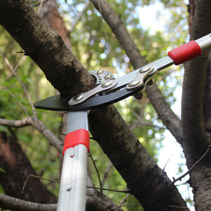 园林剪刀果树修剪树枝强力修枝剪粗枝剪桑树剪苗木剪省力园艺工具