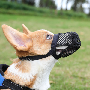 狗狗嘴套防咬防乱吃防叫柯基口罩泰迪小狗小型中型大型犬宠物狗套