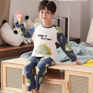 男童睡衣儿童春秋薄款纯棉夏季男孩长袖秋款恐龙中大童亲子家居服