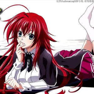 恶魔高校莉雅丝