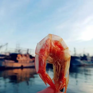 福建东山岛海虾干 新鲜海虾原味淡干 干货零食海鲜即食 顺丰包邮