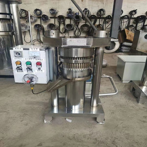 立式液压榨油机低温冷榨巧克力 油沙豆橄榄植物油虫子 压榨设备