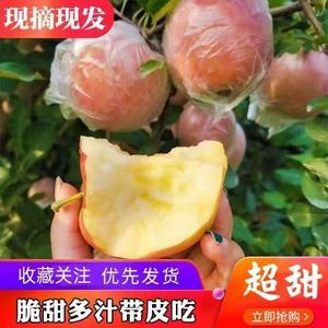 山西运城临猗【纸袋】红富士大果冰糖心丑苹果10斤孕阿克苏