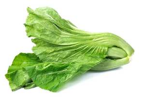 广西新鲜大叶芥菜盖菜蔬菜包心大芥菜水中芥做酸菜鱼5斤包邮