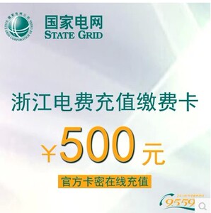电费充值卡500