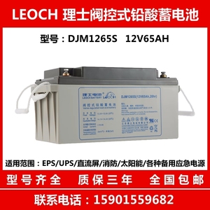 理士蓄电池DJM1265S 12V65AH阀控式铅酸免维护UPS消防EPS应急电源