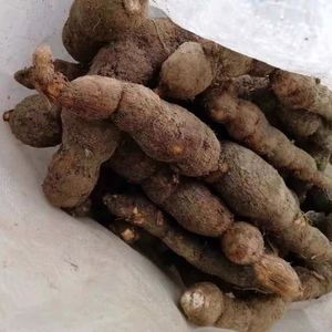 现挖现卖 新鲜粉藤蛋 粉藤薯 接骨藤 白牵牛 白粉藤500克3斤起拍