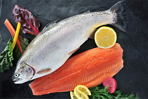 三文鱼 整条三文鱼7斤左右马哈鱼 冰鲜三文鱼西安同城配送