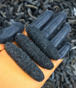 活动价 澳洲海 明秃 土耳其 黄肉 猪婆 各种淡干海参