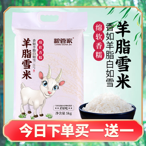 粮管家羊脂雪米5kg10斤大米10kg20斤特价新米非东北大米五常大米