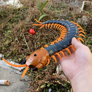 仿真蜈蚣模型遥控玩具昆虫整蛊玩具爬行动物