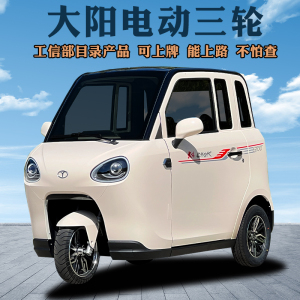 大阳电动电瓶车三轮车家用