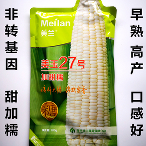 美兰美玉加甜糯27号玉米种子大穗 高产抗病鲜食甜糯玉米种籽200克