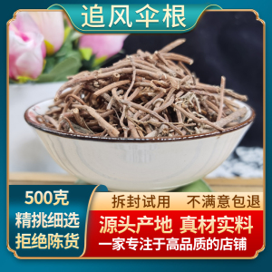 追风伞根中药材 惊风伞根一把伞根公接骨丹 破凉伞背花草灯台单根