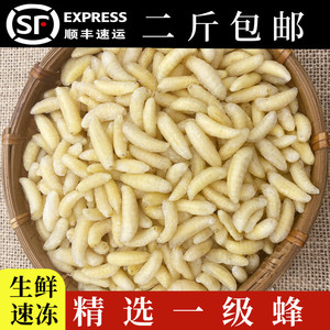 精选一级蜂蛹新鲜冷冻马蜂云南特产葫芦峰鲜活冰冻500g顺丰包邮