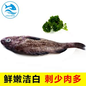 小刚水产威海野生新鲜黑鱼黑海鱼 黑头鱼 生鲜海鲜海产