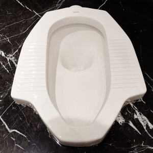toto蹲便器cw8rb家用带防臭蹲厕卫浴大便器工程蹲坑酒店便池脚踏