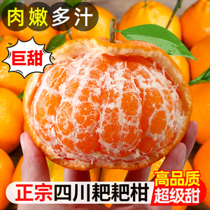 四川特级春见耙耙柑9斤新鲜粑粑柑橘子甜当季整箱水果丑柑桔包邮