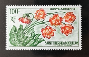 圣皮埃尔和密克隆邮票1962植物花卉雕刻版1全新