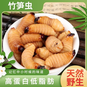 鲜活冻广宁竹虫竹蛹竹笋虫蛹咀食用昆虫竹子虫椰子虫活体发货包邮
