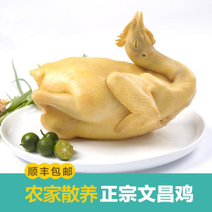 海南文昌鸡即食