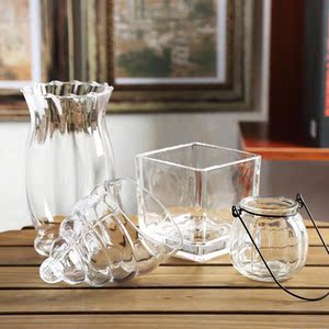 培花信子水水明绿萝水盆植物养花璃透风客厅玻璃瓶养器皿培花瓶玻