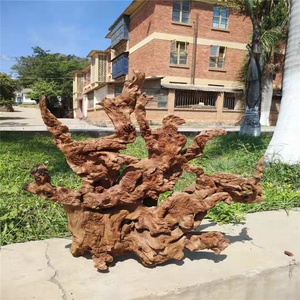 金丝红木羊蹄甲毛料根艺根雕树根水景沉水枯木原木珠宝手串摆件