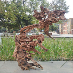 云南金丝红木羊蹄甲毛料树根枯木盆景木沉水料根雕根艺工艺品摆件