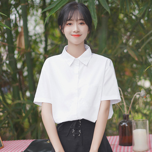 帛卡琪2024夏季新款韩版学生短袖白衬衫女学院风POLO领纯棉上衣潮