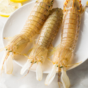 味库冰鲜皮皮虾新鲜海鲜水产虾爬子超大濑尿虾琵琶虾爬爬虾虾姑